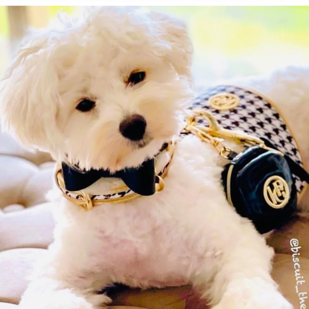 HGP LUXURY HOUNDSTOOTH XS DOG HARNESS & GOLD TONE LEAD